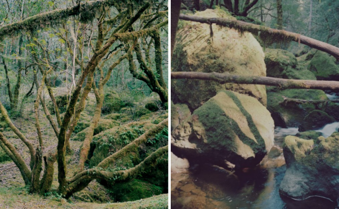 20200907140951xuutk.png 截屏2020-09-07 14.09.40.png