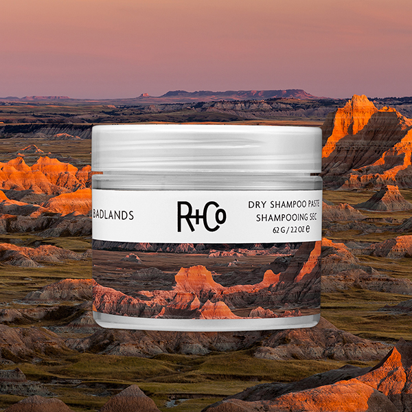 R+Co 24.jpg