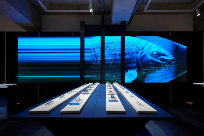 20210226163919btfxv.png 图片31.png