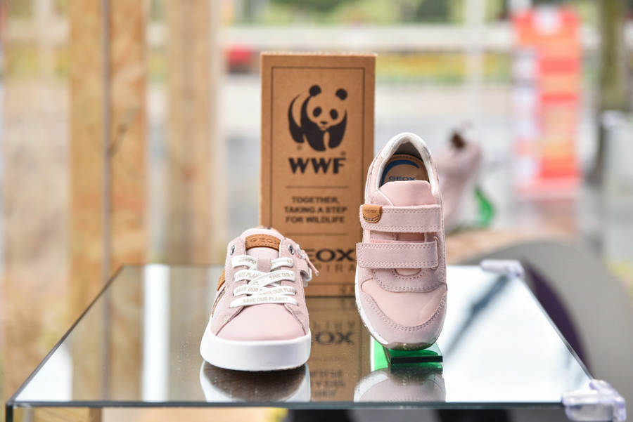 20210330195020enxim.jpg image007.jpg