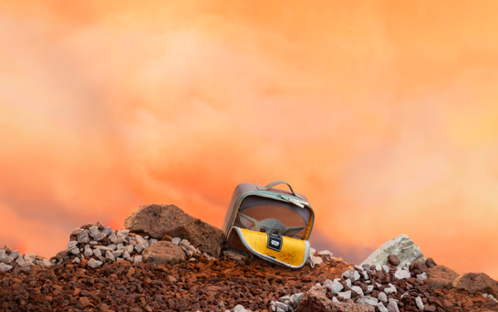 20210506163807rrzlr.png 截屏2021-05-06 16.34.10.png