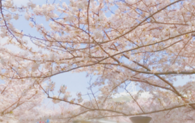 截屏2021-05-08 15.26.32.png
