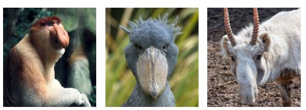 20210601164432jisea.jpg image002.jpg