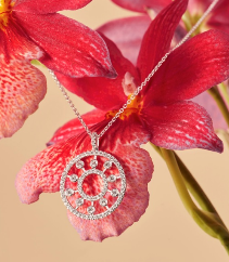 截屏2021-06-25 12.44.19.png