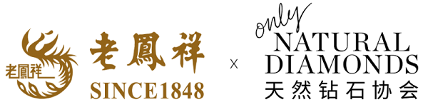 202407151745271890734081.png