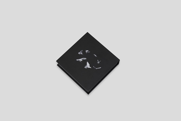 12· COIN-1.jpg
