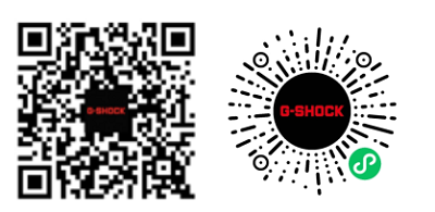 6760e55e5a900.png