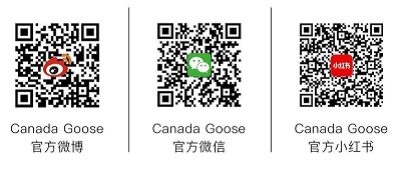 微信图片_20241220231101.png