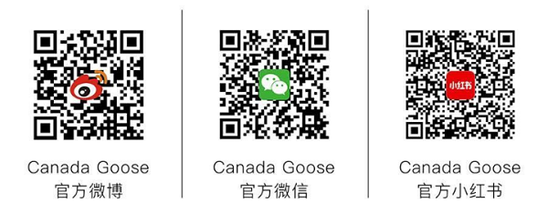 微信图片_20241225200529.png