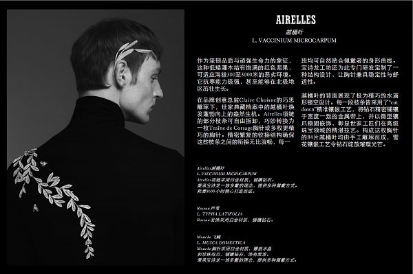 微信图片_20250207195641.png