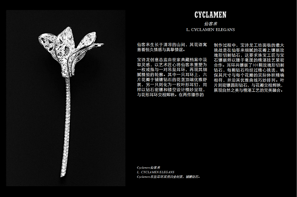 微信图片_20250207195718.png