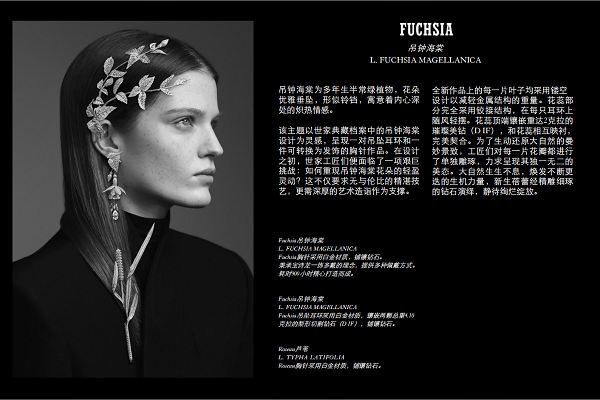 微信图片_20250207195754.png