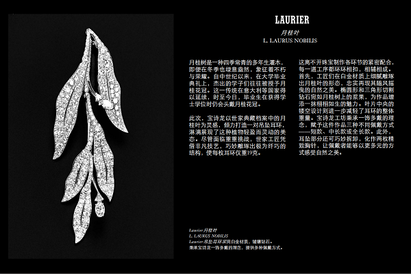微信图片_20250207195807.png
