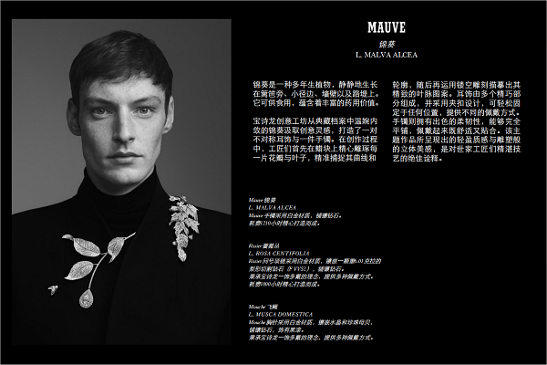 微信图片_20250207195832.png