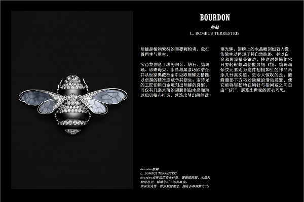 微信图片_20250207195957.png