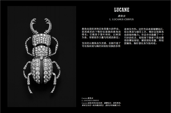 微信图片_20250207200008.png