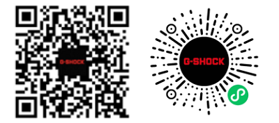67b3f4a63392c.png