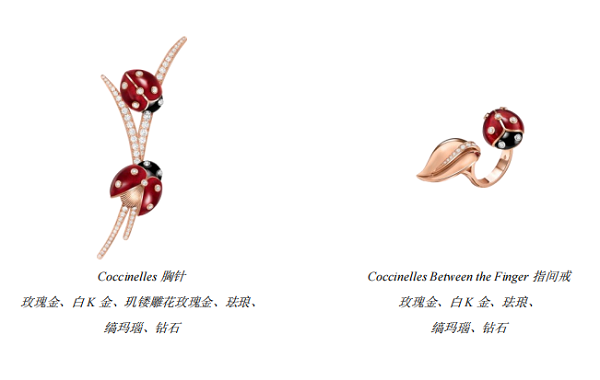 微信图片_20250305234023.png