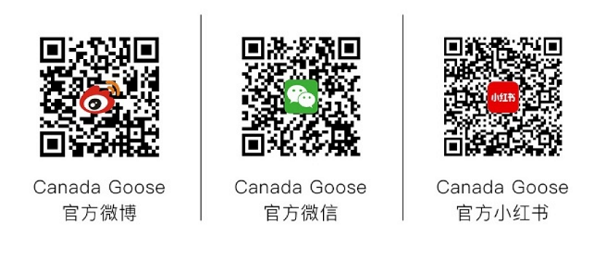 微信图片_20250606012230.png