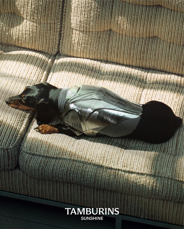 TAMBURINS SUNSHINE_IMAGE 2.jpg