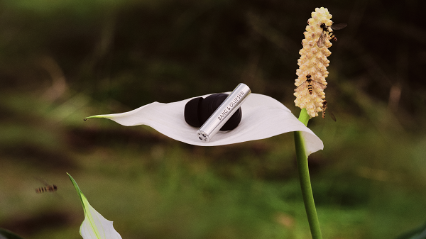 The sound of things to come 2025 Beo Grace Digital EN 1920x1080 Crop Clean-4.png