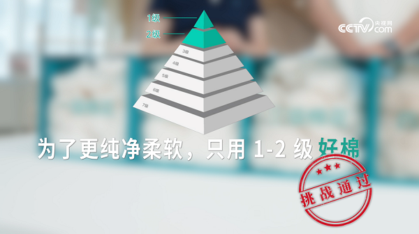 20251014195308hcuou.png 20251014224206271.png