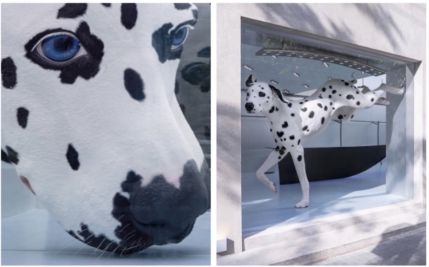 20251106160629wxihx.jpg IMG_0989.jpg