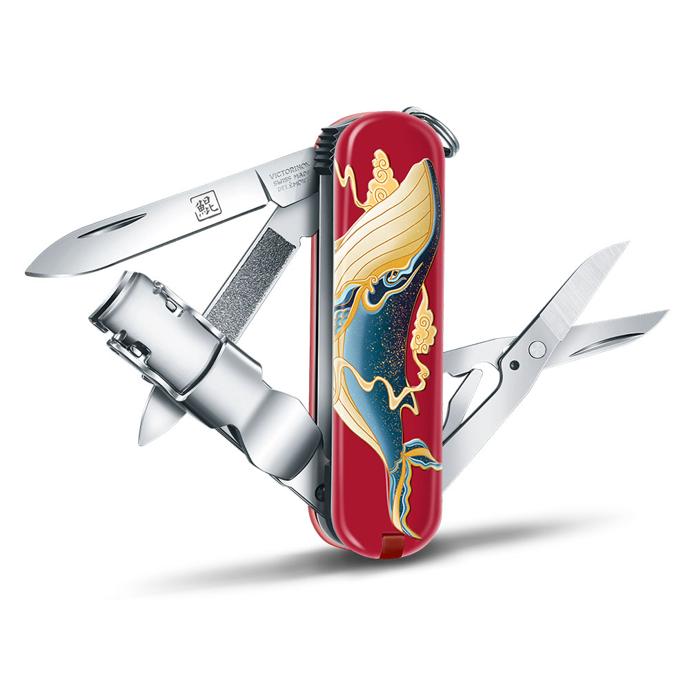 20251208154900btelr.jpg 2.jpg